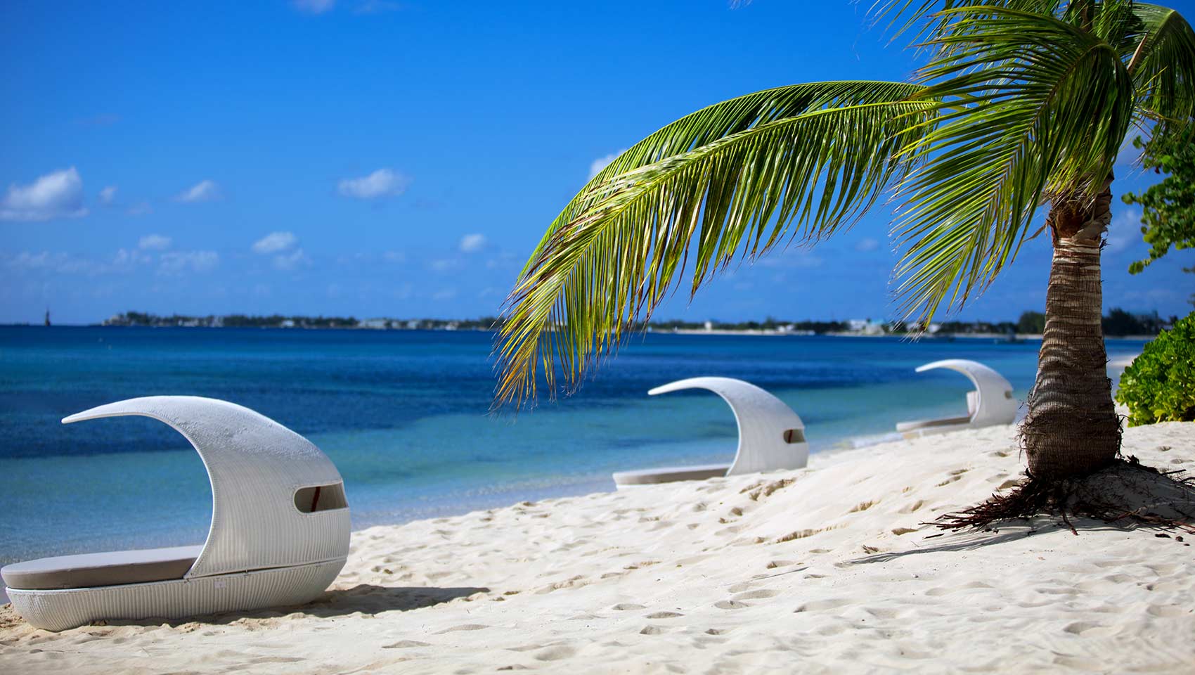 Photo of beach pod loungers