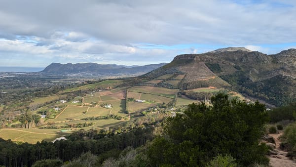 Vineyards in the distance while hiking to Constantia