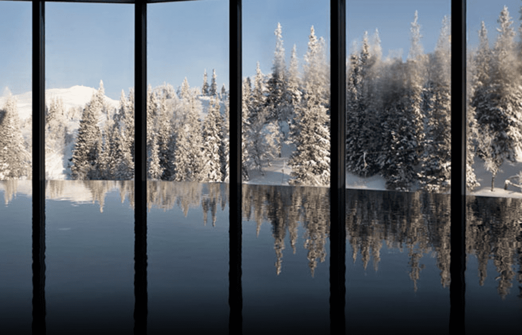 a view of a snowy forest from a window