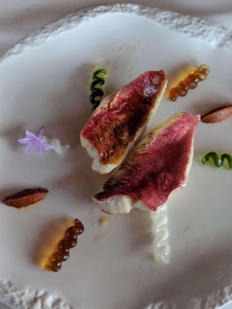 food on a plate
