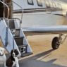 two dogs on a leash next to a plane