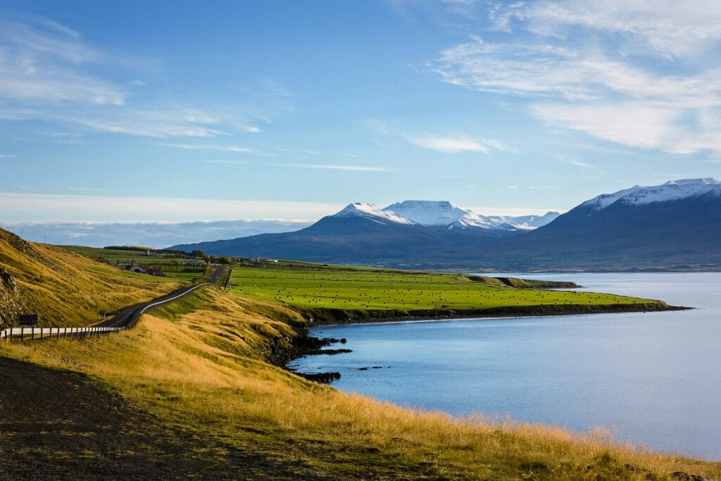 a road leading to a body of water